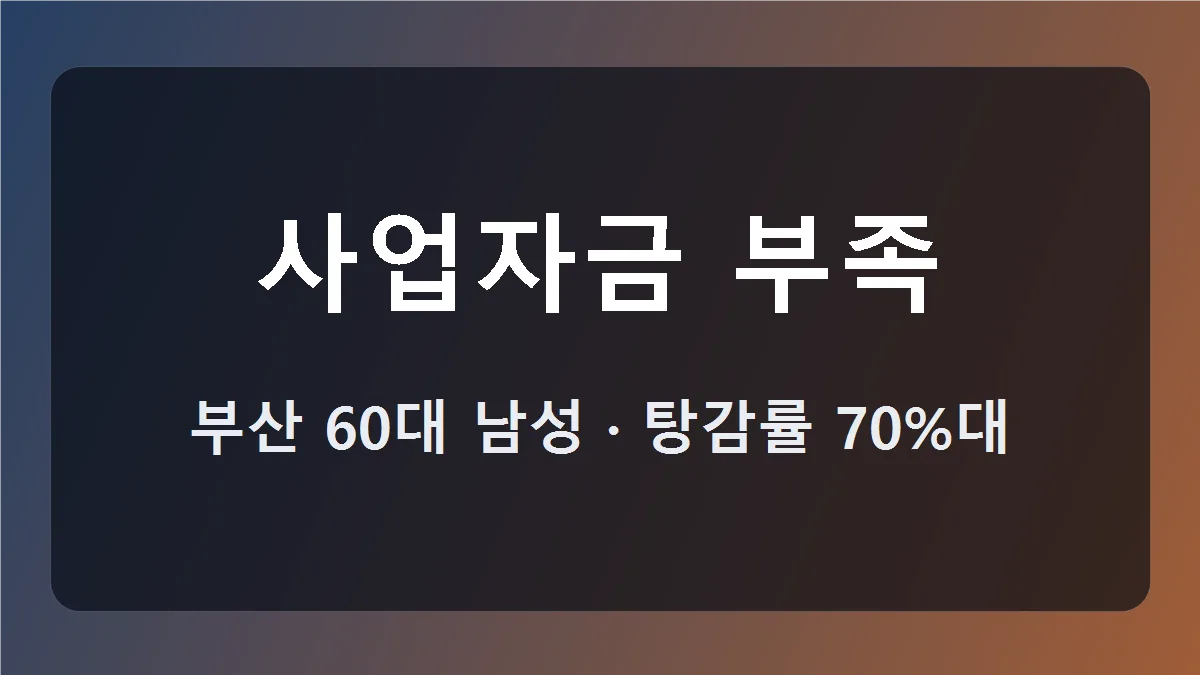개인회생 개시결정 사업자금 부족과 소득 보정 쟁점 대표 이미지