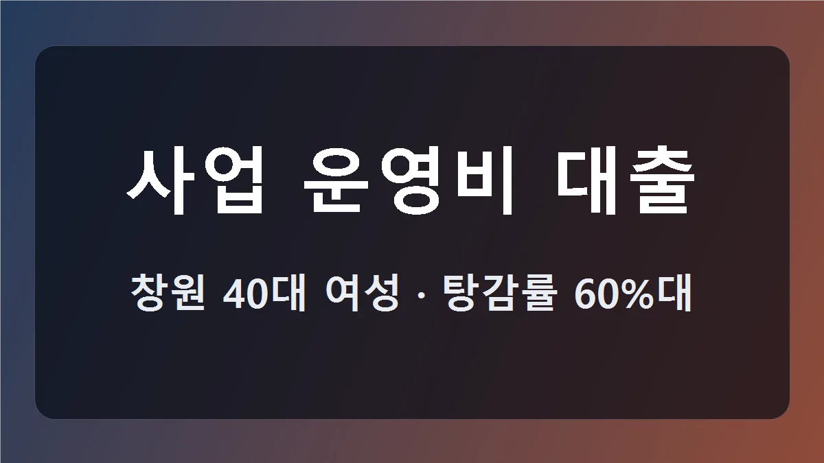 개인회생 개시결정, 사업 운영비 대출 보정쟁점 정리 대표 이미지
